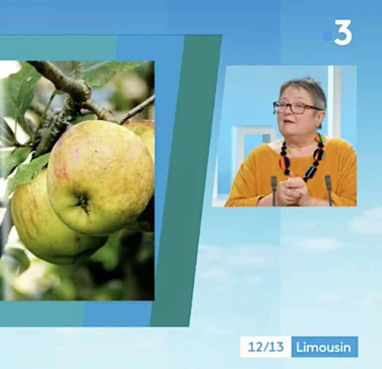 Lire la suite à propos de l’article Régine Rossi-Lagorce sur France 3